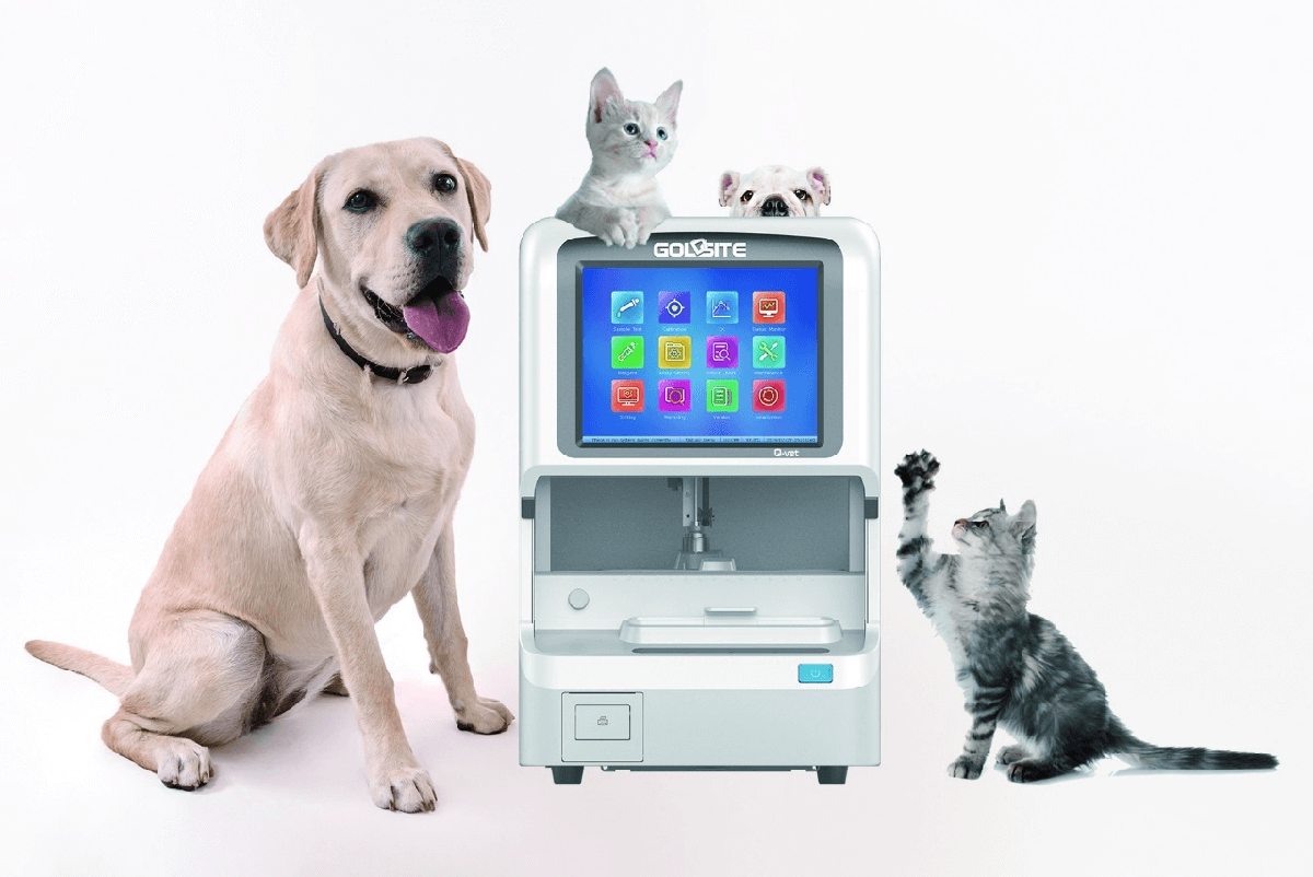 Goldsite Veterinary Biochemistry Analyzer Q-vet starts voyage to the U.K.