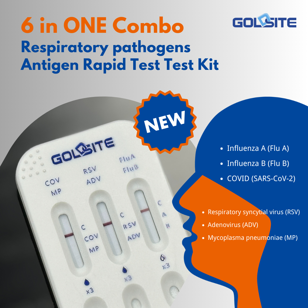 goldsite 6 in one combo 3 goldsite 6 em um combo 3