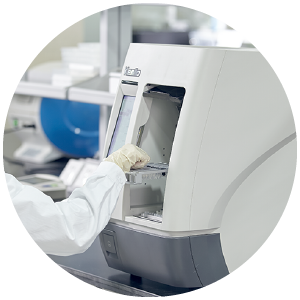 load sample 6 well rack