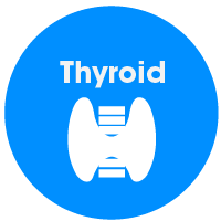 thyroid