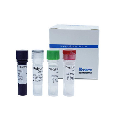 Kit de PCR Monkeypox Virus (MPXV)