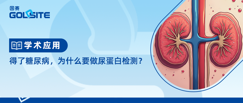 得了糖尿病,为什么要做尿蛋白检测?