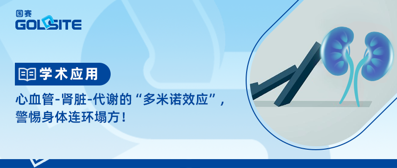 心血管-肾脏-代谢的“多米诺效应”,警惕身体连环塌方!